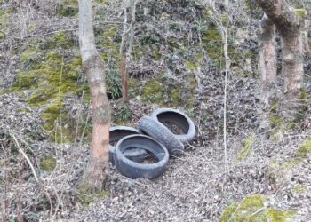 NAPIMORGÓ – Csak úgy, mint otthon!