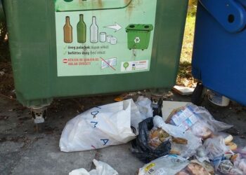 NAPIMORGÓ – Kutyatetem a szelektívben