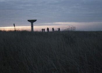 1956 – Filmest Bándon