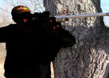 STÜSZI VADÁSZ – Kinyuvadt zombik a politika erdejében