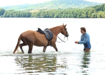 FILMBEMUTATÓ – Kincsem, te drága!