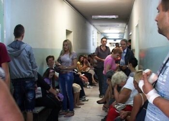 VÉRVÉTEL – Mustárral, tormával és mézzel