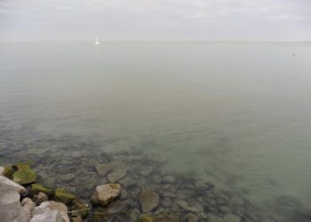 BALATONALMÁDI – Víz világnapi program