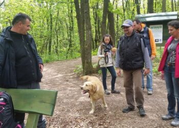 MANDULAVIRÁG – Vissza a természethez!