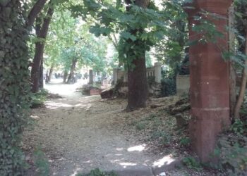 NAPIMORGÓ – Elvitték a temetőkaput