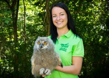 ÁLLATKERT – A legújabb cuki csöppség