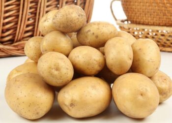 FÓRUM – Döntési szabadság vagy szabadkereskedelmi egyezmény?