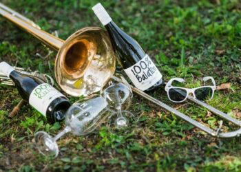 PALOZNAK – Jazz, bor, Balaton