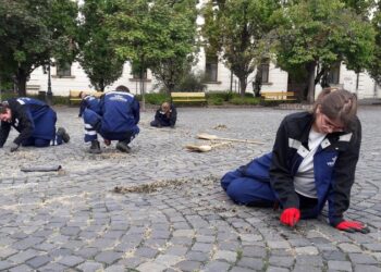 PARKSZÉPÍTŐK – Jövőre vizsgázik az első osztály