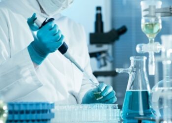 PANNON EGYETEM – Két pályázatot nyert az intézmény