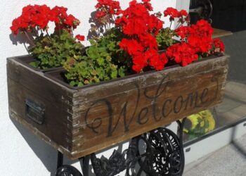 CIVILEK – Virágzó Veszprémünk