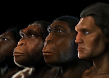 MINDENTUDÓ HÁZ – Emberősök – Ősemberek 2.