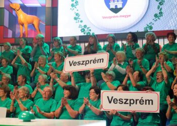 VETÉLKEDŐ – Veszprém megye a középdöntőben