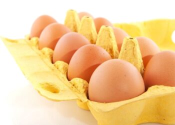 TOJÁS – Ne darabra vegyük, hanem kilóra!