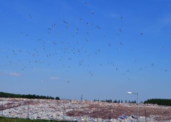 KÁOSZ – Bezárják a királyszentistváni szeméttelepet