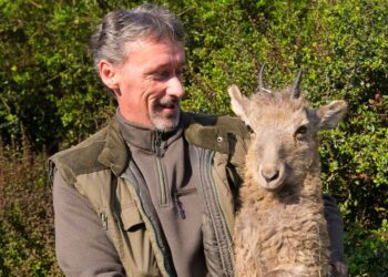 ÁLLATKERT – Szibériai kőszáli kecskék jöttek