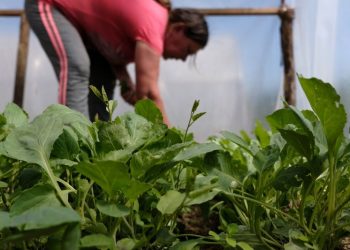 ÉLELMISZERLAVINA – Harmincnégy településen kezdődött el a munka