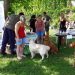 KUTYÁS PIKNIK – Egy mesés vasárnap délután