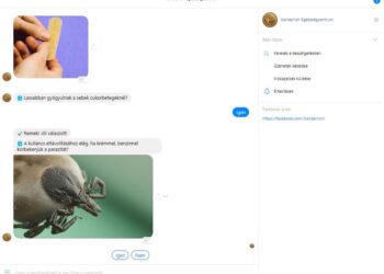 VANDERLICH – Mesterséges intelligencia segíti az egészség megőrzését
