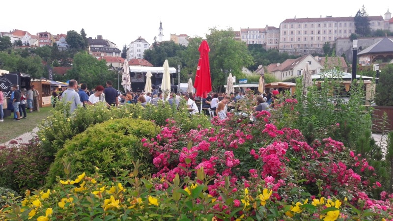 sörfesztivál, SÖRFESZTIVÁL – Tessék nyárra Veszprémbe költözni!