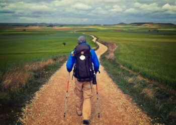 ZARÁNDOKLAT – Az öröm útján