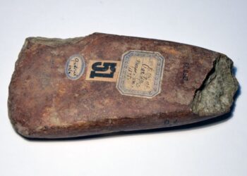 MÚZEUM – A sziklától a kőbaltáig, az erdőtől a sivatagig