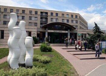 SAJTÓNYILATKOZAT – Bolhából elefánt?