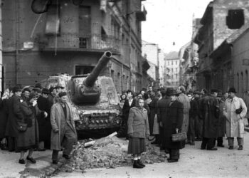 1956 – Koszorúzások, megemlékezések