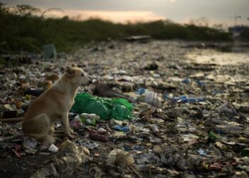 FÖLD – A  katasztrófa elkerüléséhez az egész világgazdaság pár éven belüli teljes átalakítása kéne