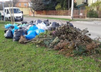 ZÖLDHULLADÉK GYŰJTÉS – Novemberben négy héten át