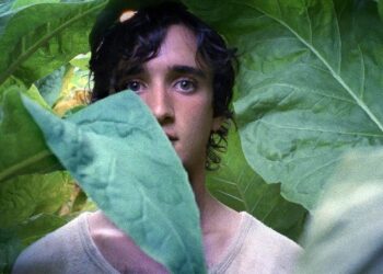 FILMKLUB – A szent és a farkas