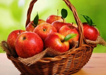 FIGYELEM! – Almavásár a belvárosban