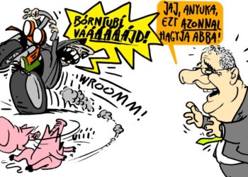 KÓSA – Tényleg, minek is ez neki?