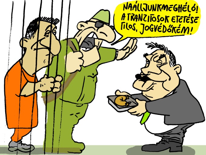 Pápai Gábor karikatúrája