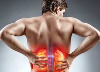 VILÁGNAP – Óvja meg veséjét egészséges életmóddal!