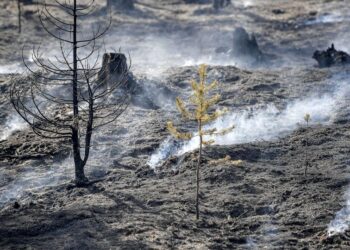GLOBÁLIS  – Rekord melegek, szuper tájfunok, mega árvizek, elsivatagosodás
