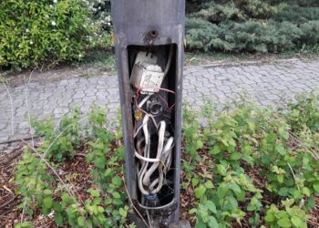 NAPIMORGÓ – Ezt pedig mi végből?
