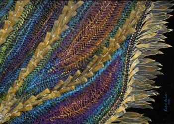 KIÁLLÍTÁS – Kallai Sándor születésnapja