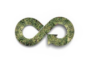 PÁLYÁZAT – A Z generáció kezében a zöldebb jövő