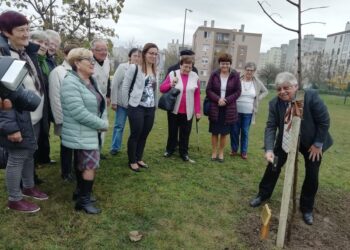 EGÉSZSÉGEDRE! – Közösen minden könnyebb!