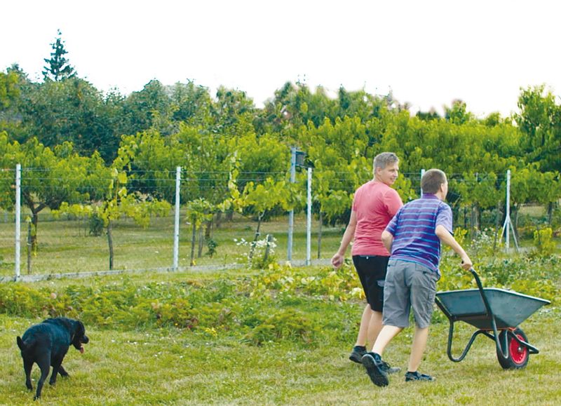 Egy kocka a Hosszú út című dokumentumfilmből