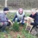 &Aacute;LLATOTTHON &ndash; Sz&aacute;z ciprus meg a G&eacute;zu kar&aacute;csonyf&aacute;ja