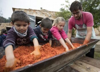 HÚS – Tényleg szükségünk van rá?