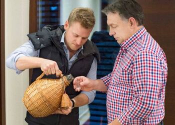 TASZ – Kiperelik az Elios-ügy részleteit