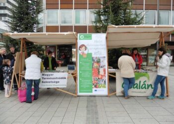 POLITICAL CAPITAL – Tízből hét ember szívesen segítene a civil szervezeteknek