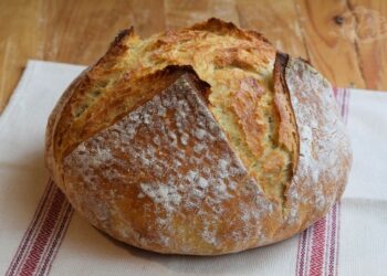 JÁRVÁNYNAPLÓ – Felveszem, leteszem, kiszedem