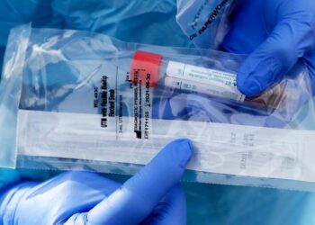 BIZALOMHIÁNY – Fejjel a mocsárban