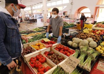 GAZDASÁG – A világpiacon csökken, itthon emelkedik az élelmiszerek ára