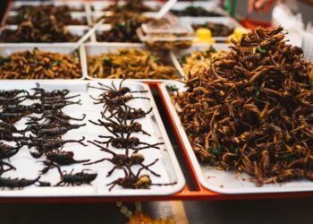 TÜCSÖK ÉS BOGÁR – Felmérés a tudatos étkezésről