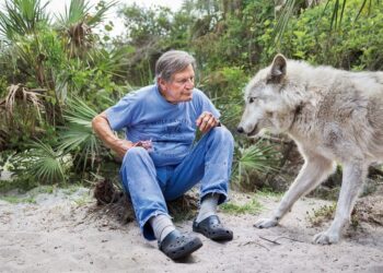 HATÁROK – Emberek és állatok paradox viszonya